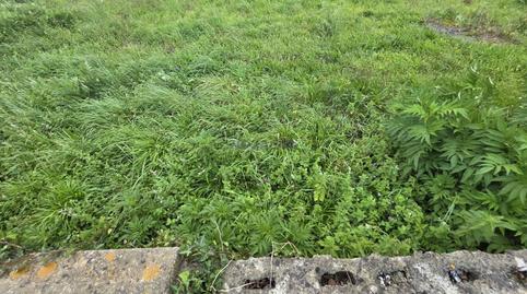 Foto 5 de Residencial en venta en Barrio Zoña, Arnuero, Cantabria