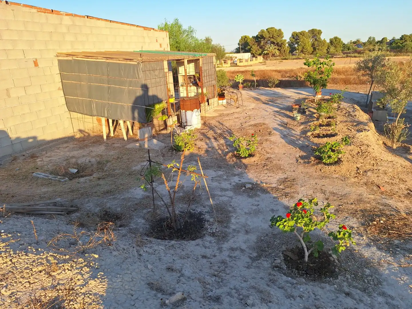 Casa rústica en venta en Partidas de Alicante, imagen 2