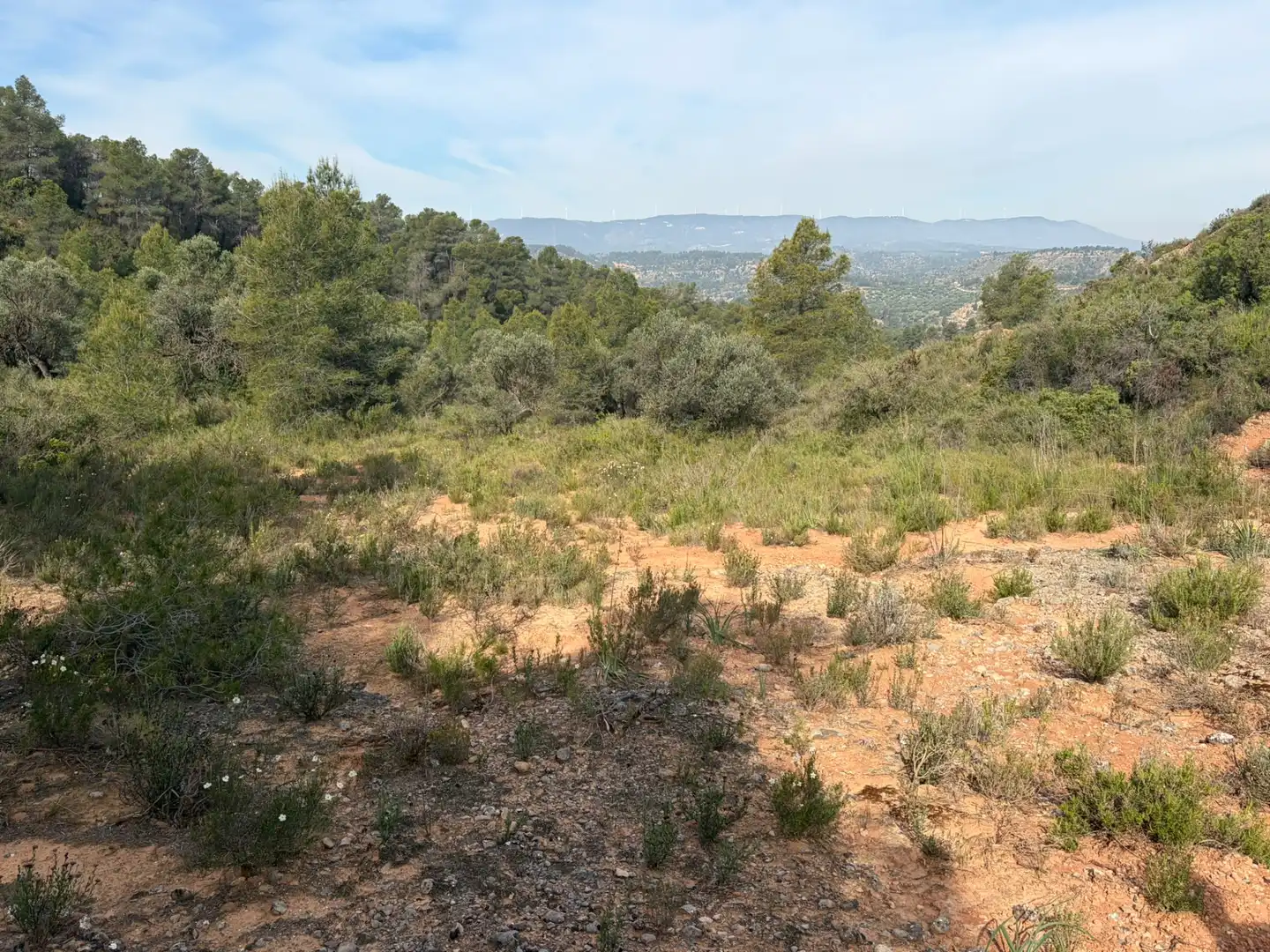 Terreno rustico in vendita a Ascó