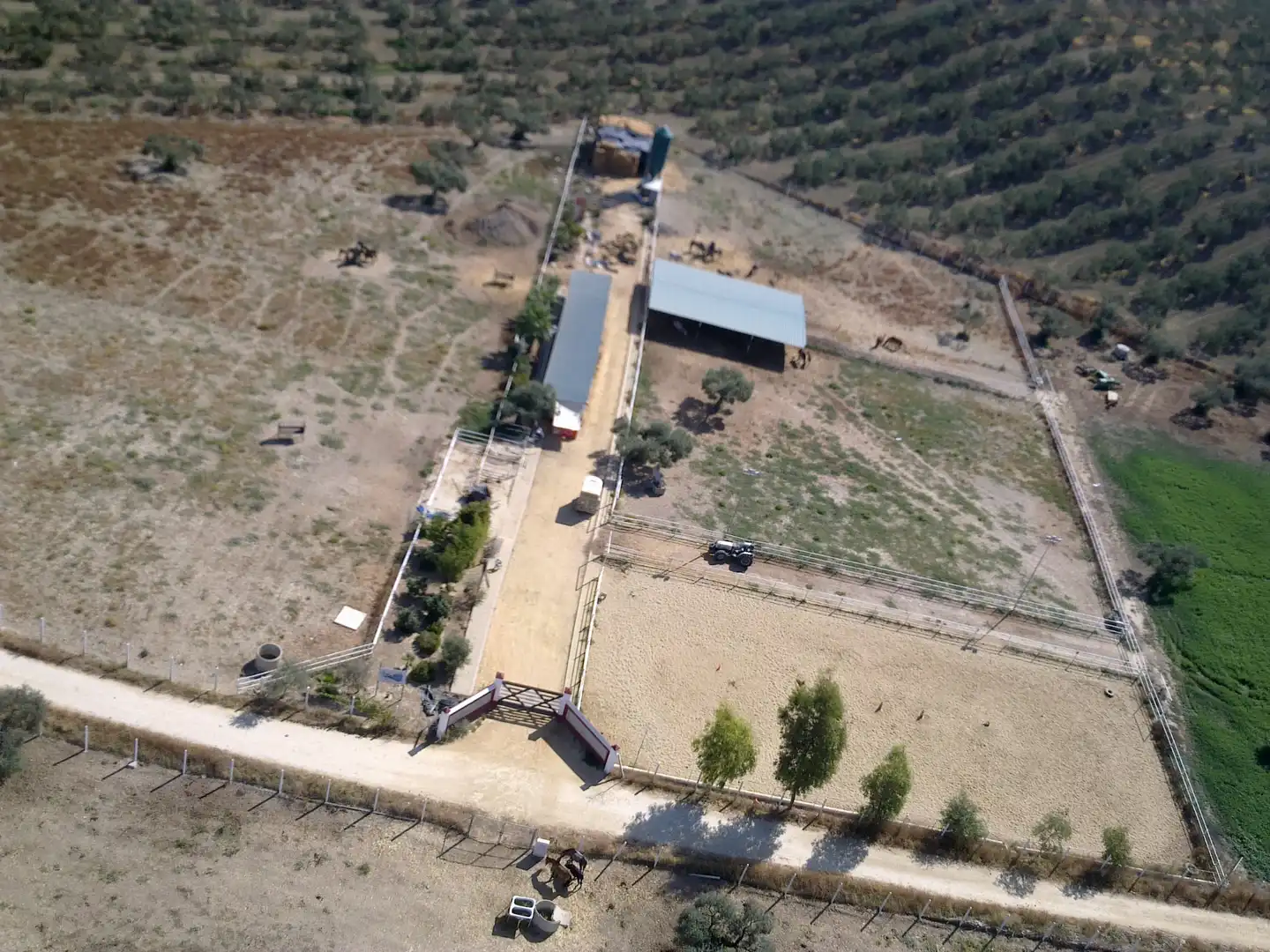 Terreni e lotti in vendita a Sanlúcar la Mayor, imagen 19
