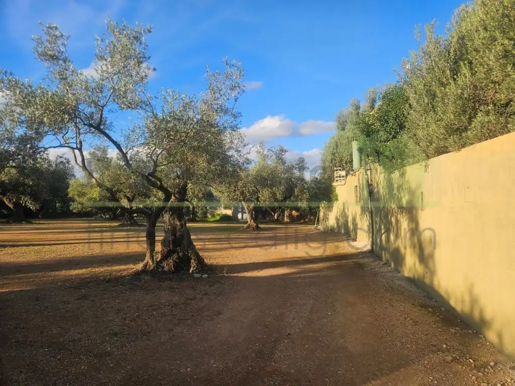 Jardín de Finca rústica en venta en Canet lo Roig con Jardín privado