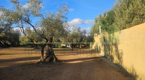 Foto 2 de Finca rústica en venda a Canet lo Roig, Castellón