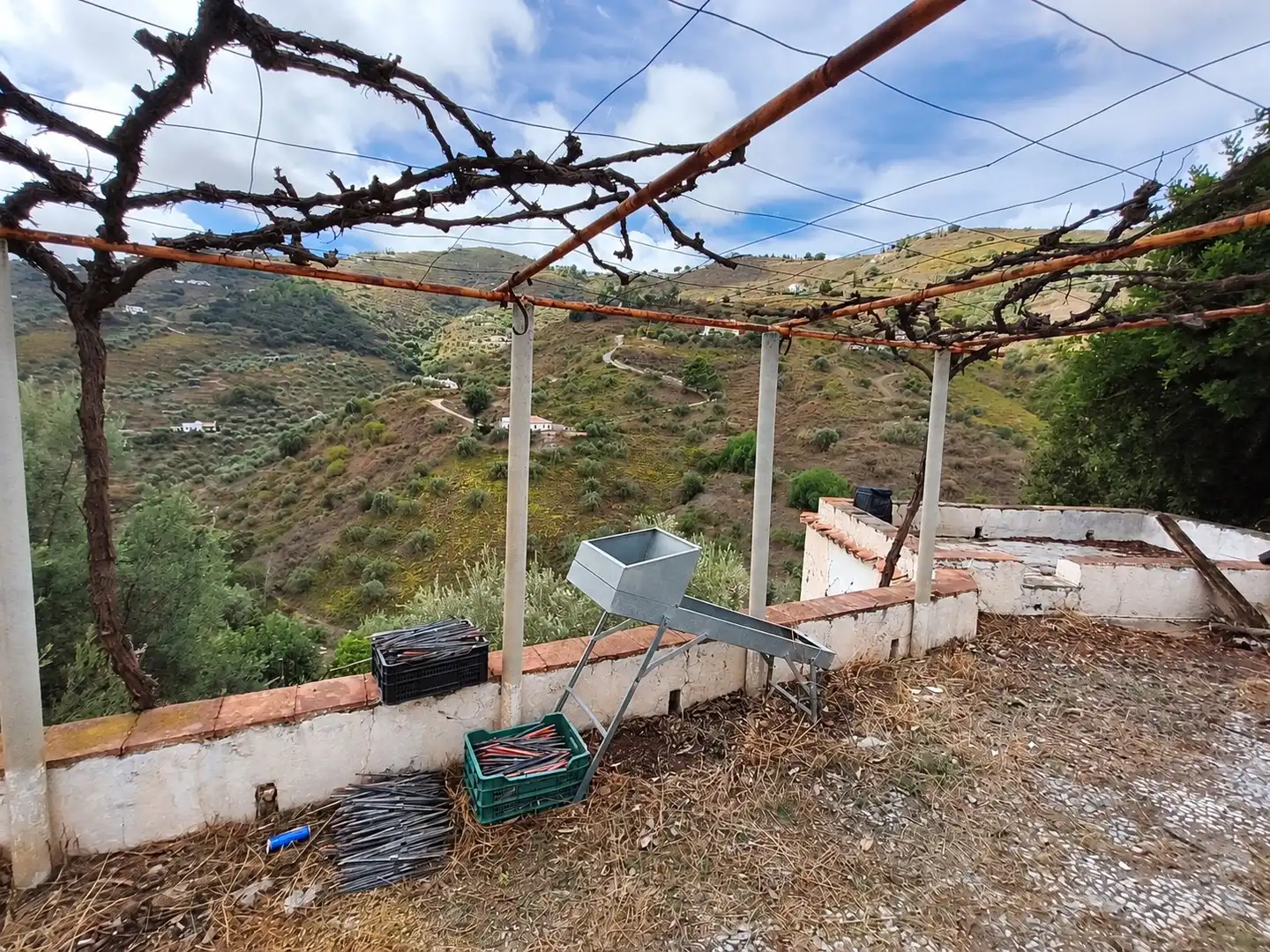 Jardí de Casa o xalet en venda en Cómpeta amb Terrassa i Traster