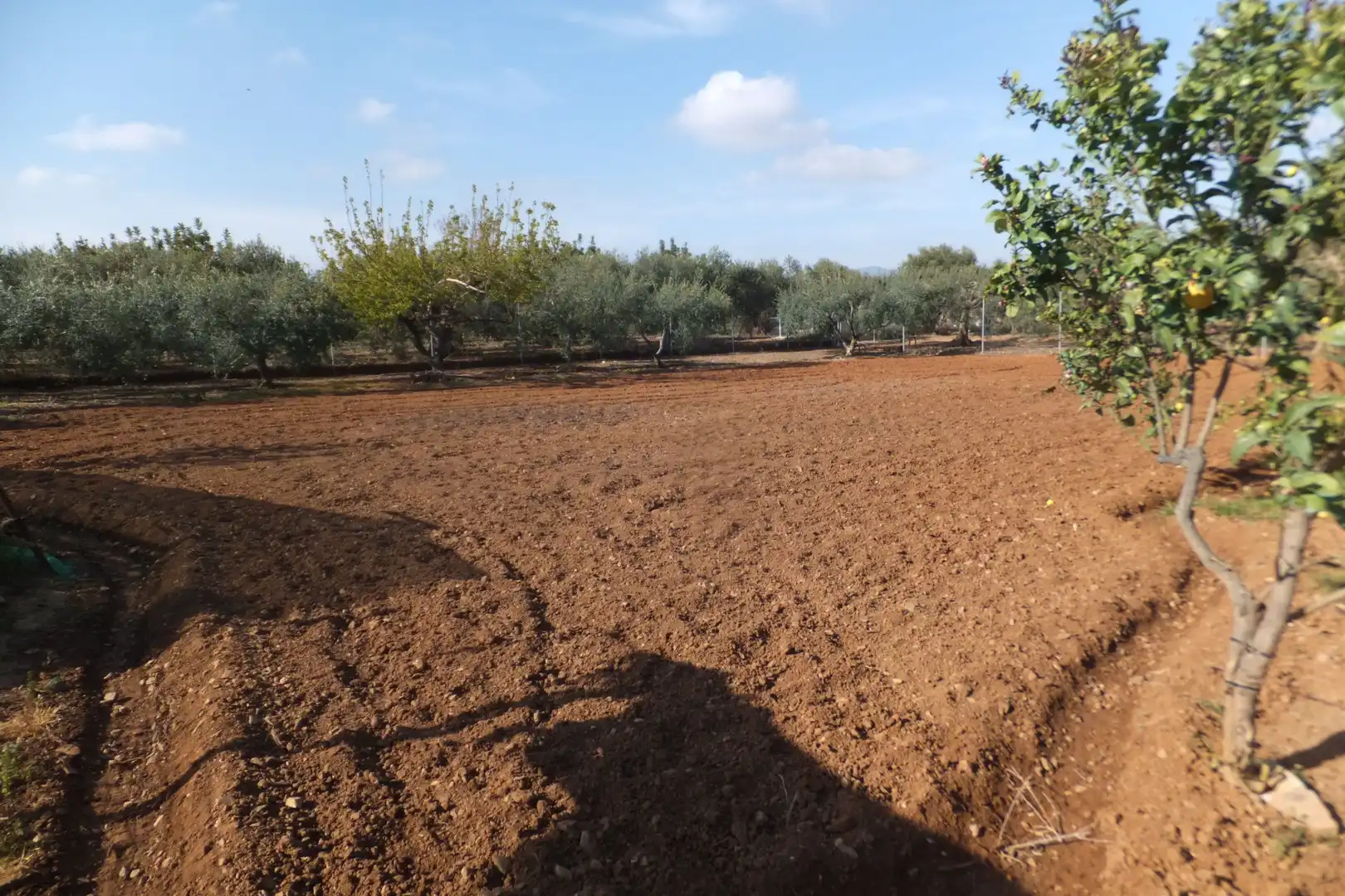 Terreno residencial en venta en Riudoms, imagen 39