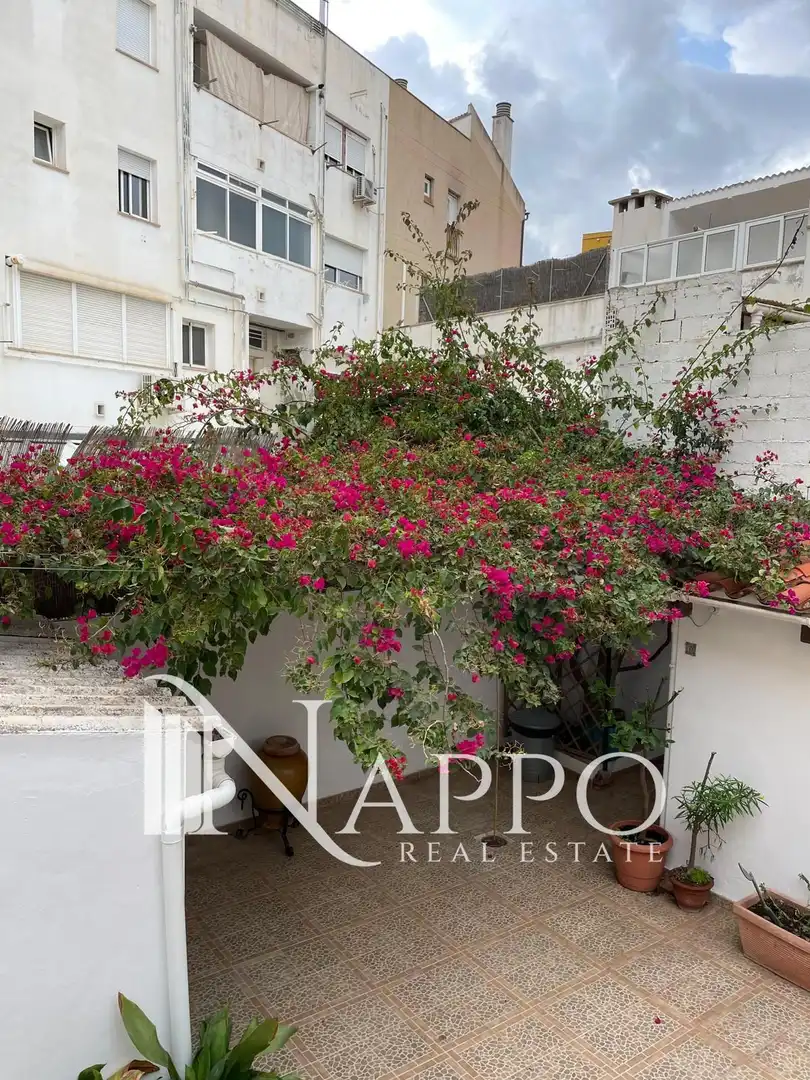 Jardí de Casa o xalet de lloguer en  Palma de Mallorca amb Terrassa i Moblat