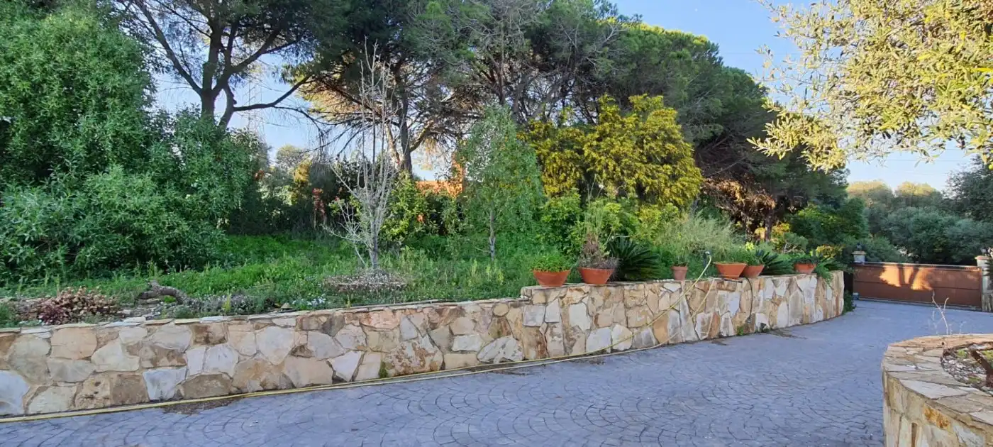 Jardín de Casa o chalet en venta en San Roque con Jardín privado, Terraza y Piscina