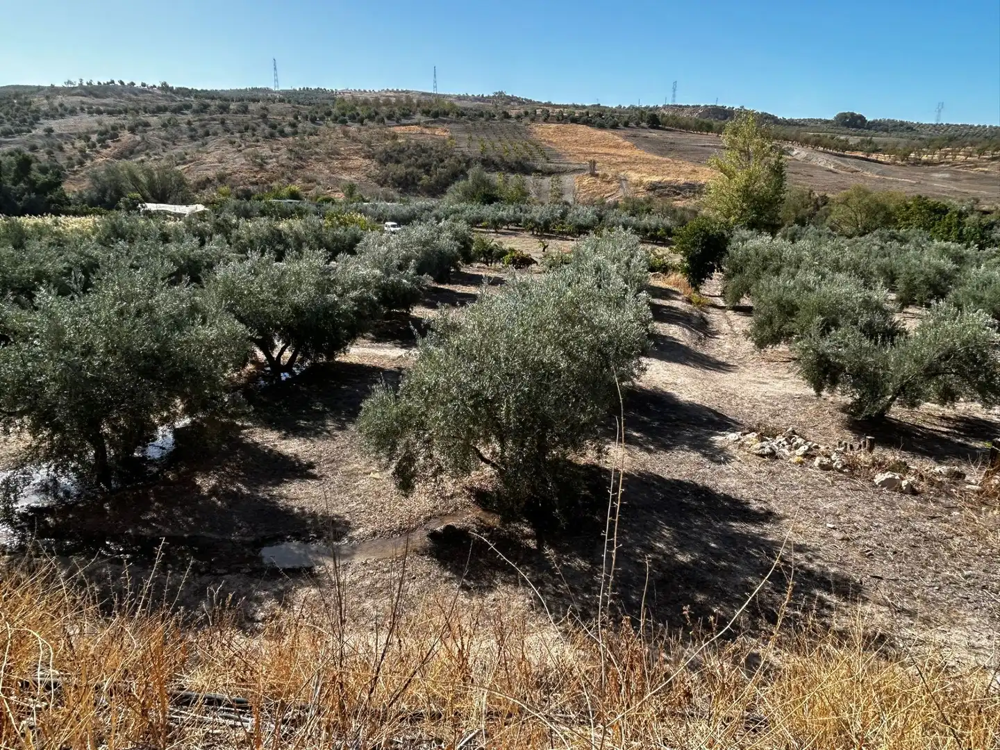 Terreni e lotti in vendita a Calicasas, imagen 4