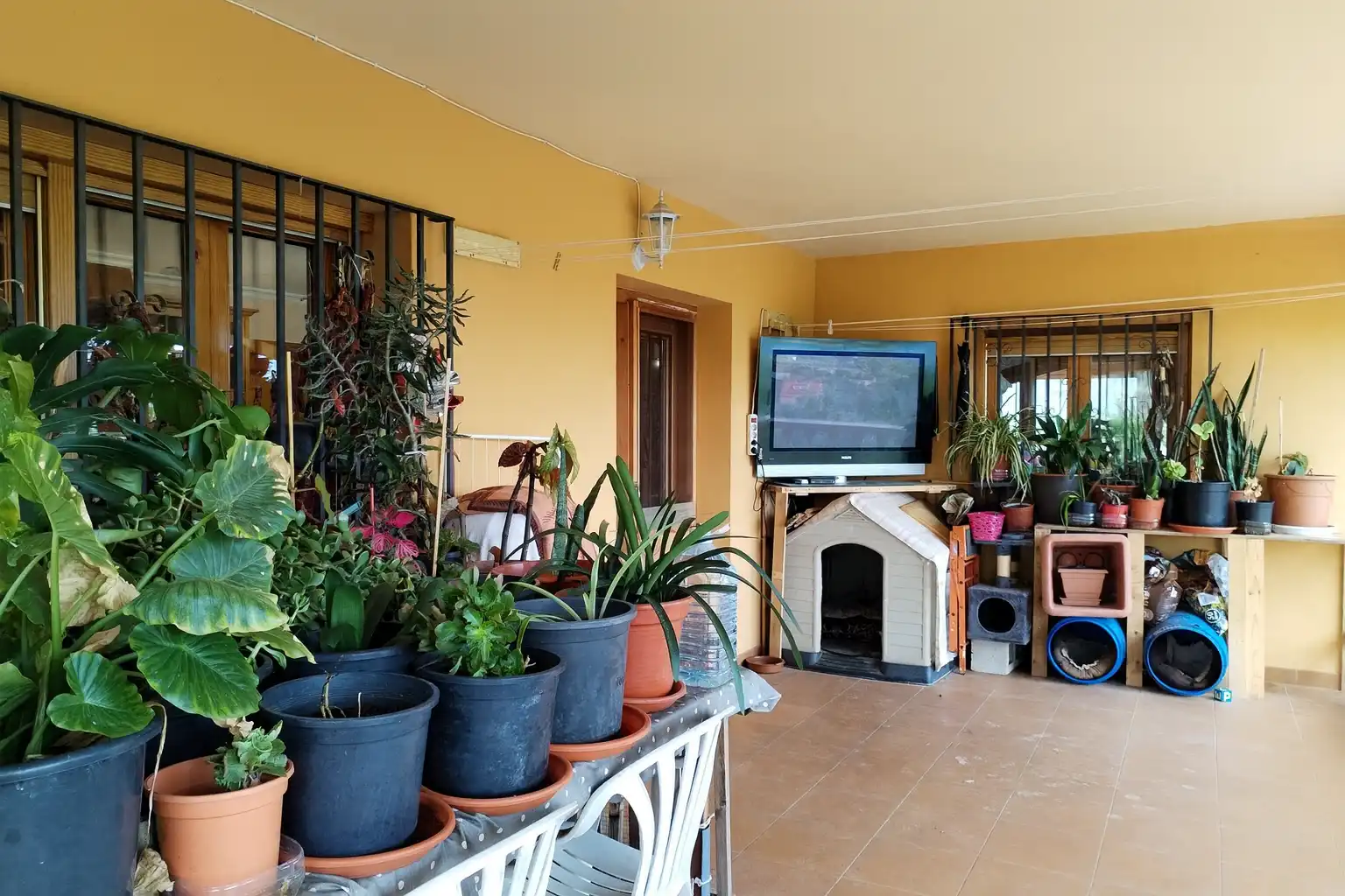 Houses for sale in Benillup