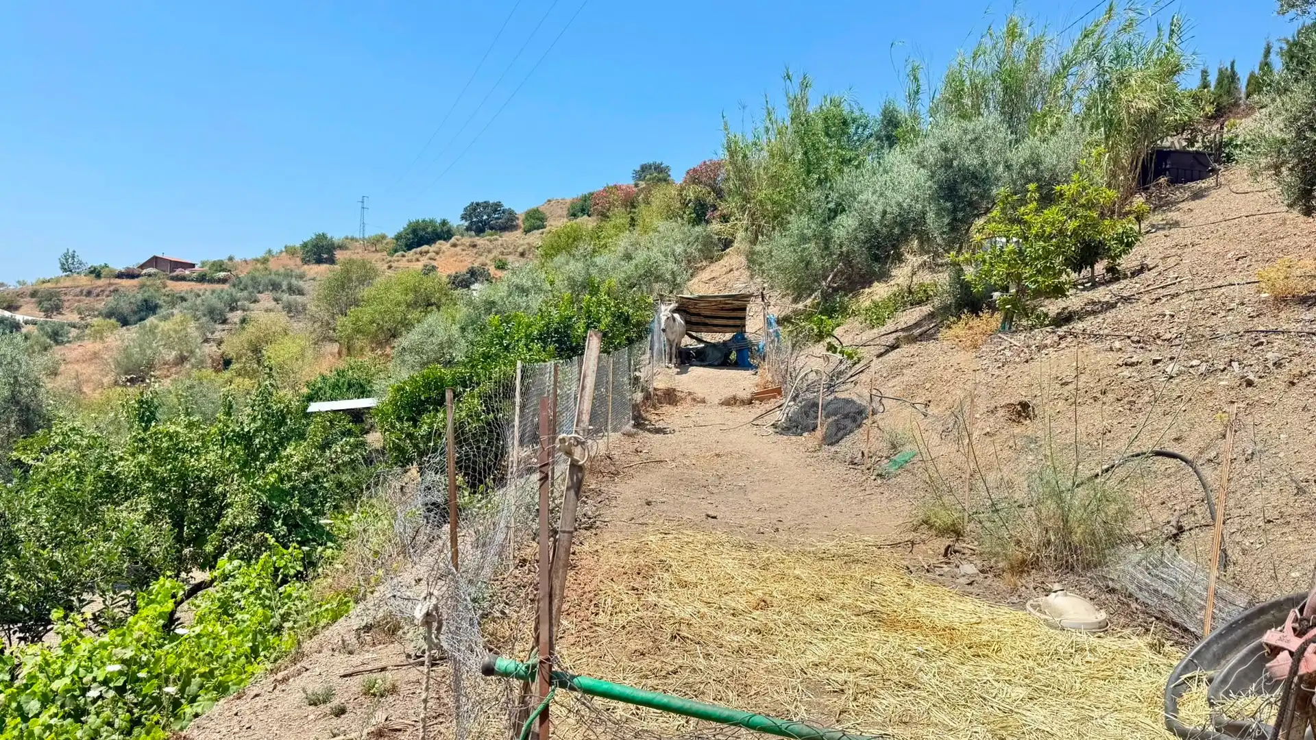 Casa o xalet en venda en Sedella amb Aire condicionat, Jardí privat i Terrassa