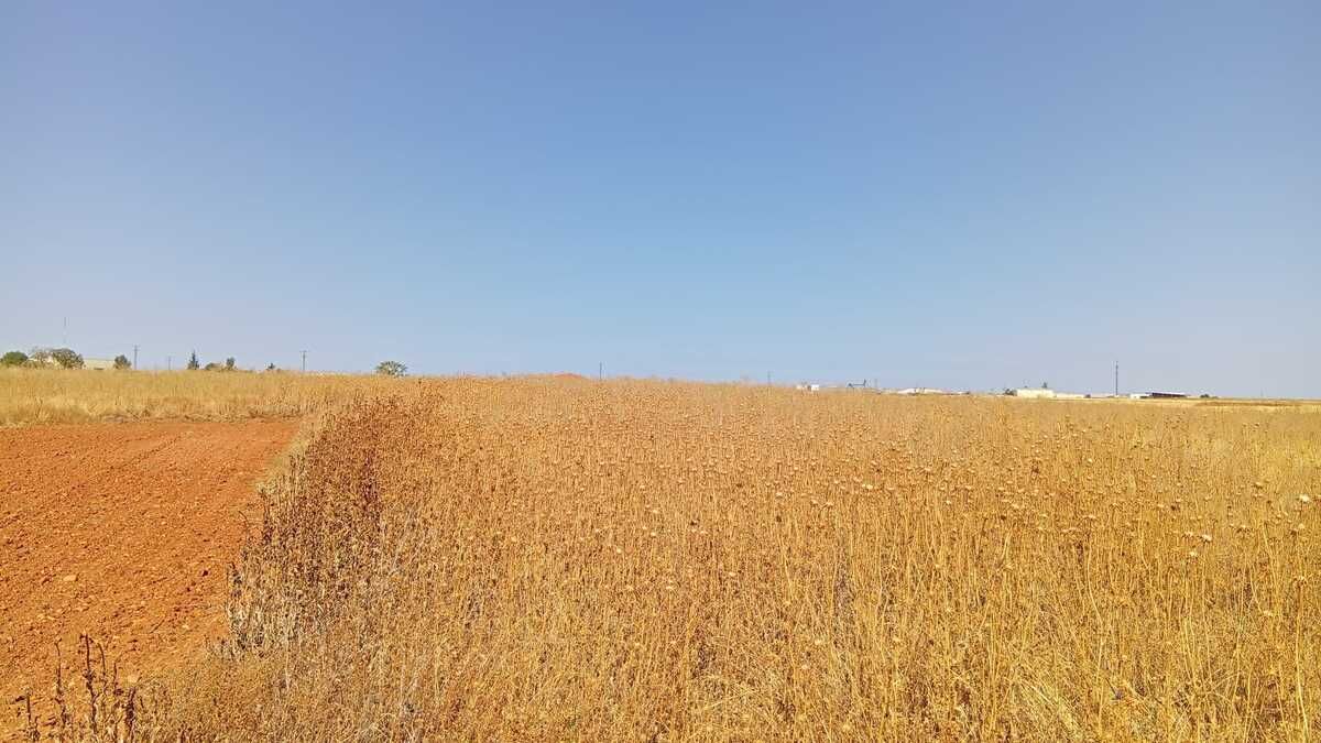 Residencial en venda en Zamora Capital 