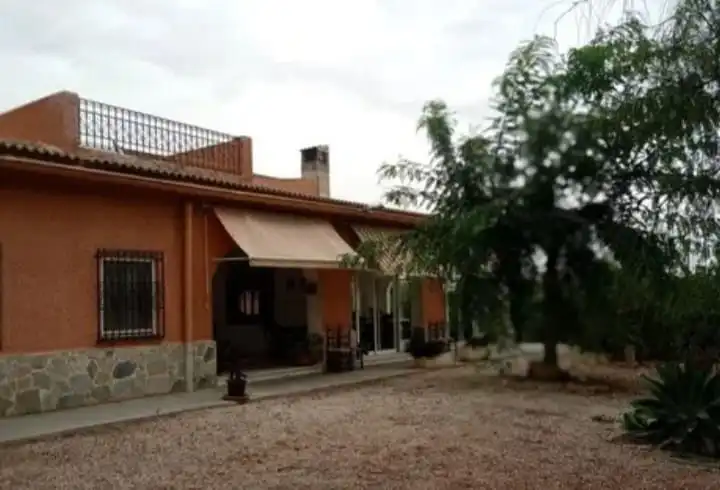 Jardín de Casa o chalet en venta en Elche / Elx con Jardín privado
