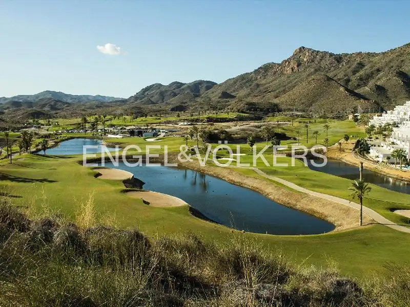 Piso con piscina en venta en San Juan de los Terreros, imagen 31