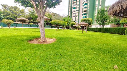 Foto 4 de Piso en venta en Avenida Jenofonte, El Cónsul - Ciudad Universitaria - El Romeral, Málaga Capital