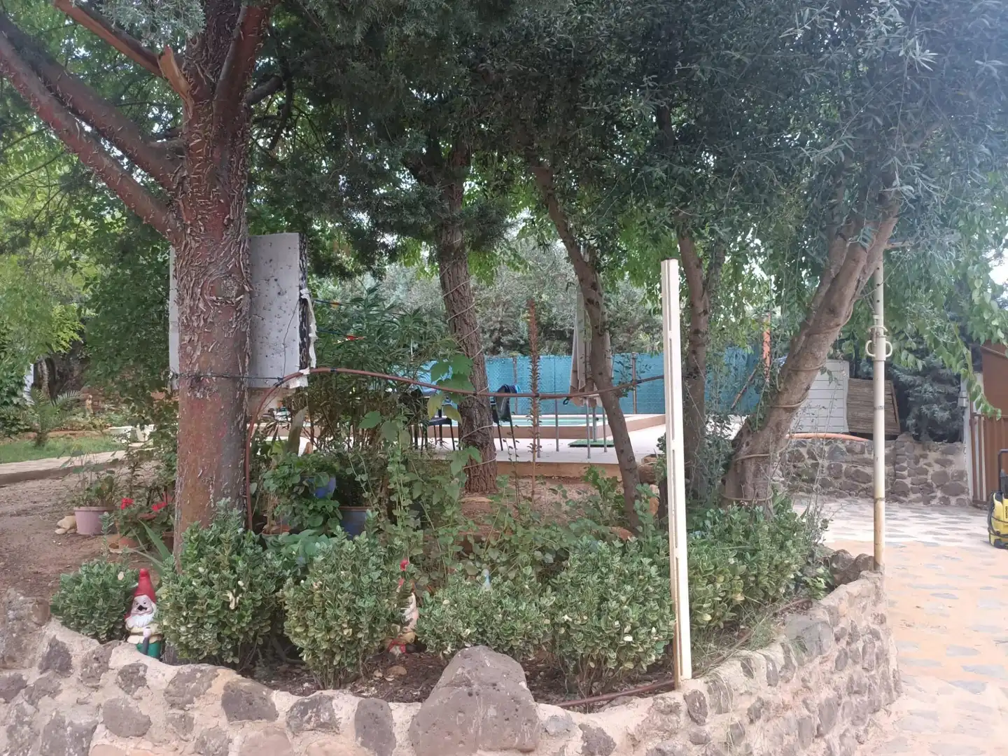 Jardí de Casa o xalet en venda en Piedrabuena amb Aire condicionat, Calefacció i Jardí privat