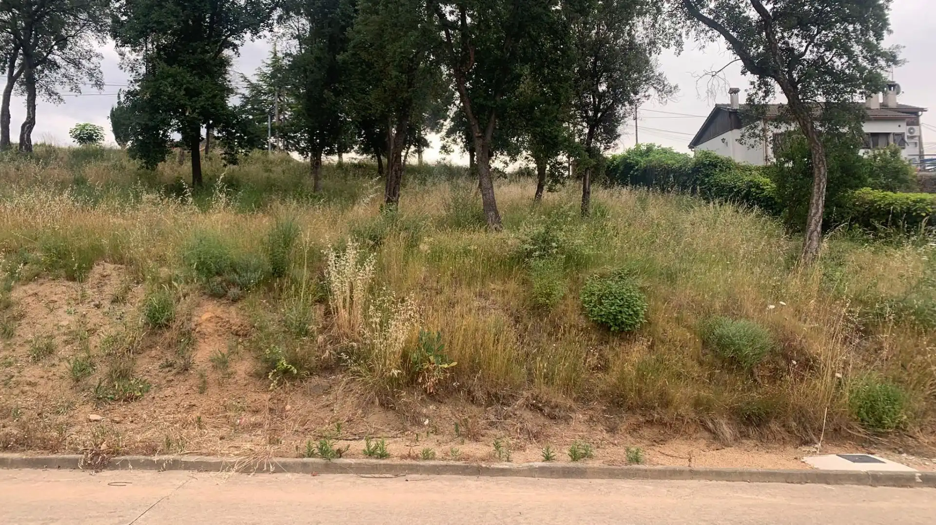 Terreny residencial en venda a Riells i Viabrea, imagen 2
