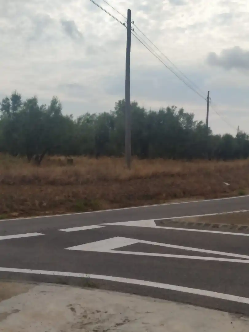 Terreny rústic en venda a Montbrió del Camp, imagen 3