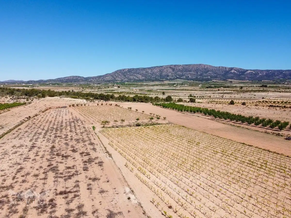 Terreno residencial en venta en El Pinós / Pinoso, imagen 32