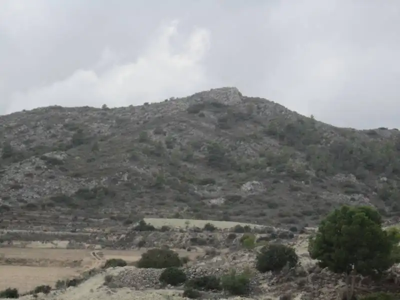 Rural land for sale in Novelda, imagen 9