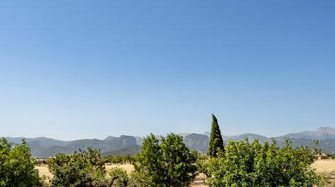 Foto 4 de Finca rústica en venda a Sencelles, Illes Balears