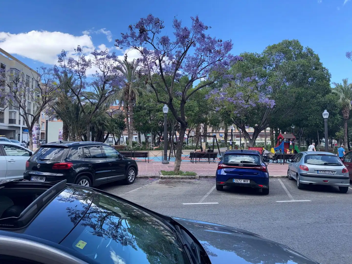 Gewerbefläche zum Verkauf in Carrer León Sánchez Sáez