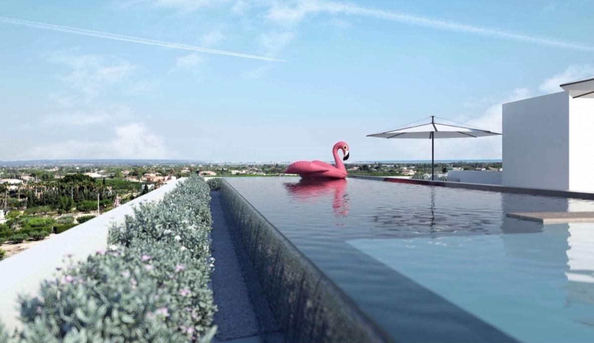 Swimming pool of Planta baja for sale in Elche / Elx  with Parquet flooring, Terrace and Swimming Pool