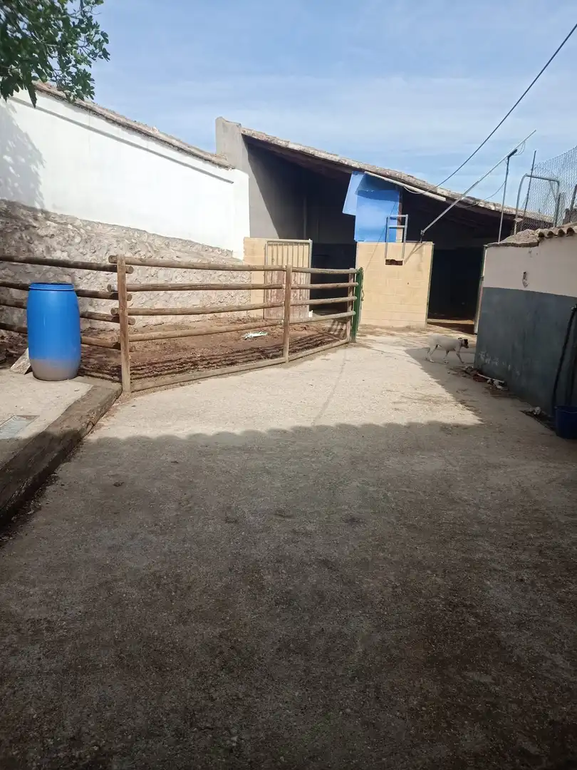 Vista exterior de Residencial en venda en Tórtola de Henares