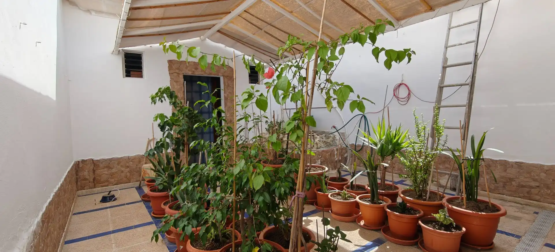 Garden of Commercial properties for sale in Manacor  with Air Conditioner and Furnished