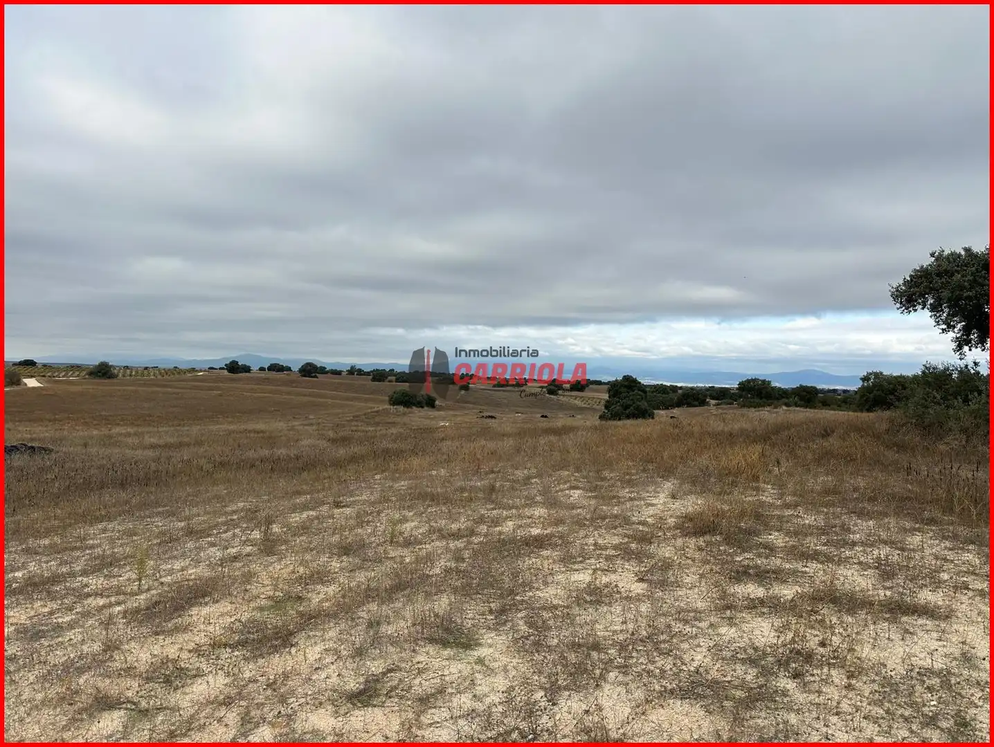 Terrain rustique à vendre à Méntrida