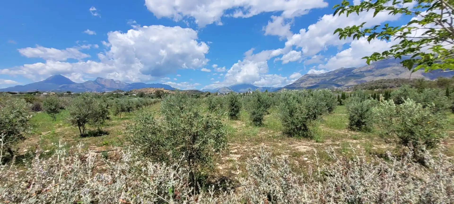 Residencial en venta en Altea