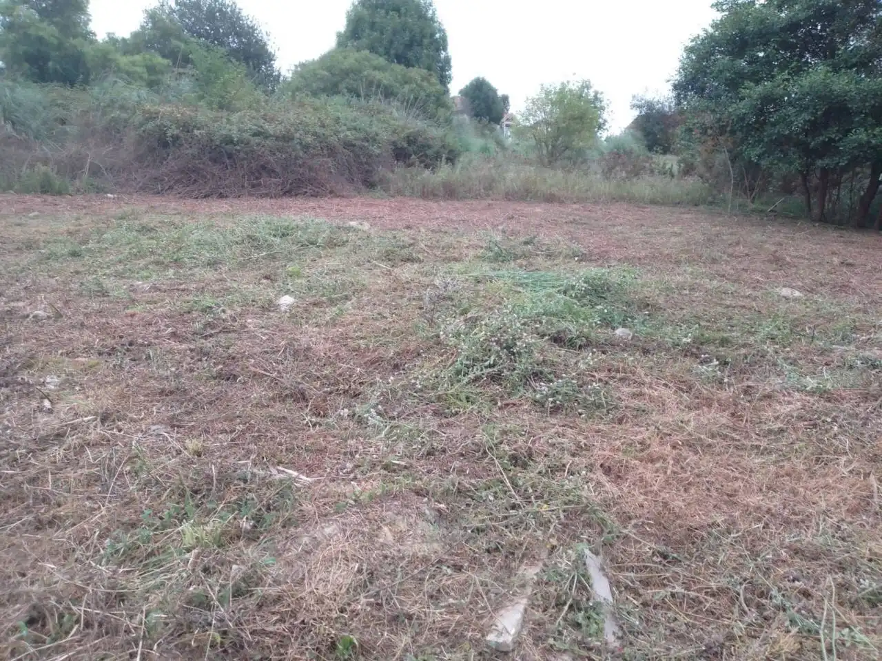 Terreni e lotti in vendita a Meruelo, imagen 9