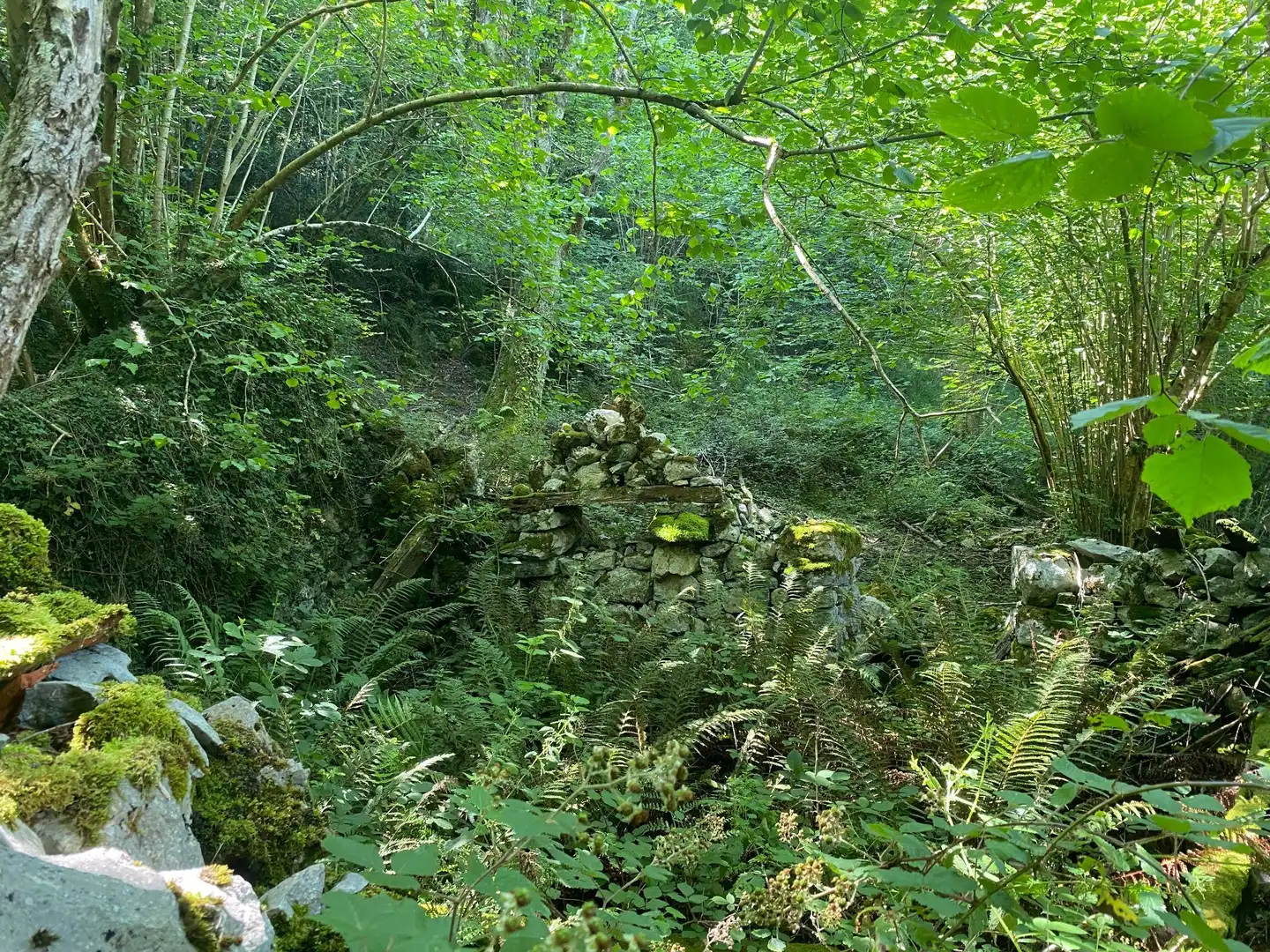 Terreno rustico in vendita a SEGÜENCO, imagen 6