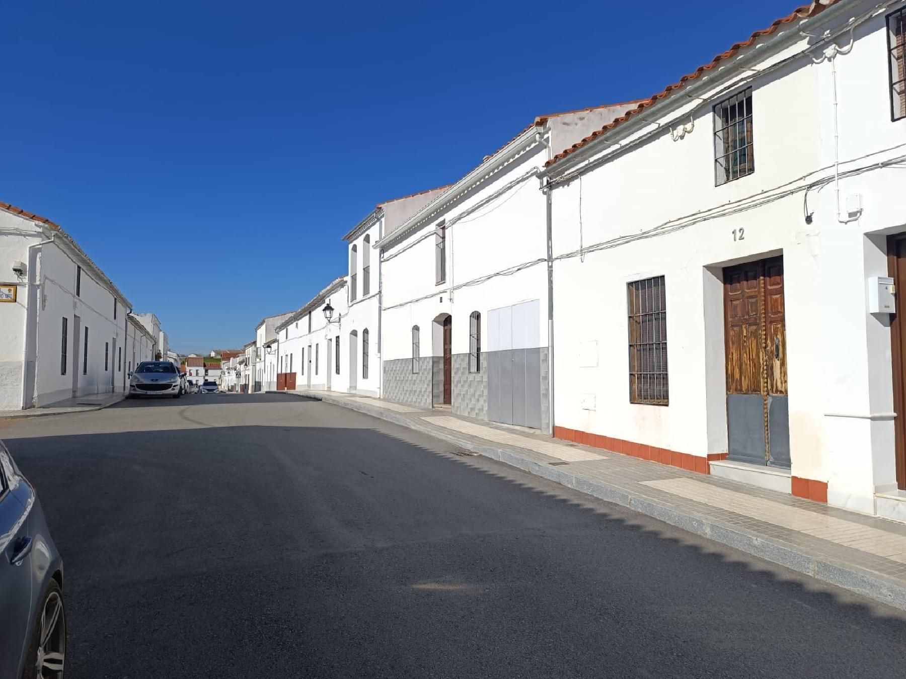 Exterior view of House or chalet for sale in Azuaga  with Private garden