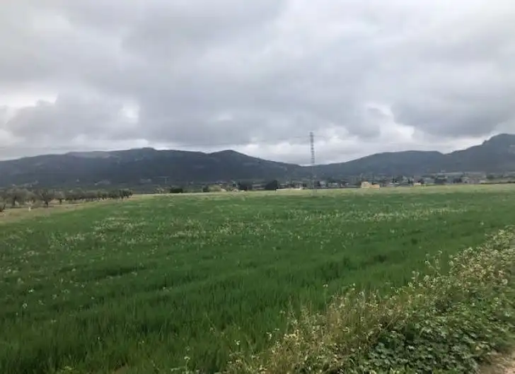 Rural land for sale in N/A, imagen 2