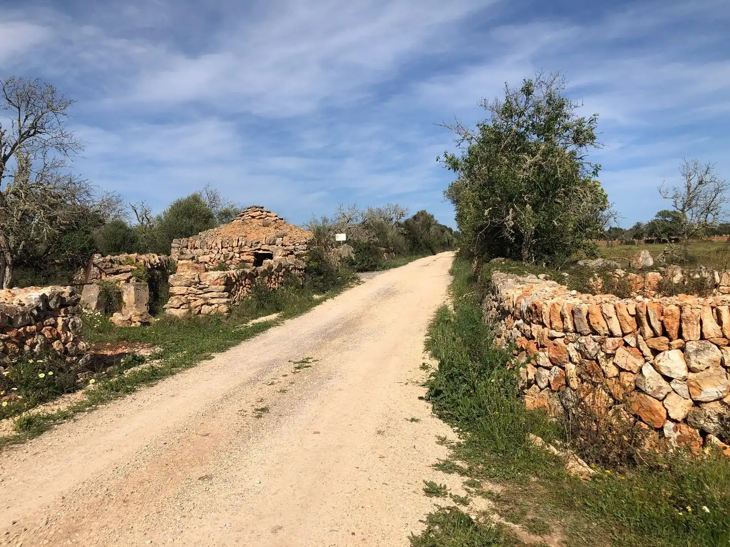 Terreno en venta en faro, Cala Llombards