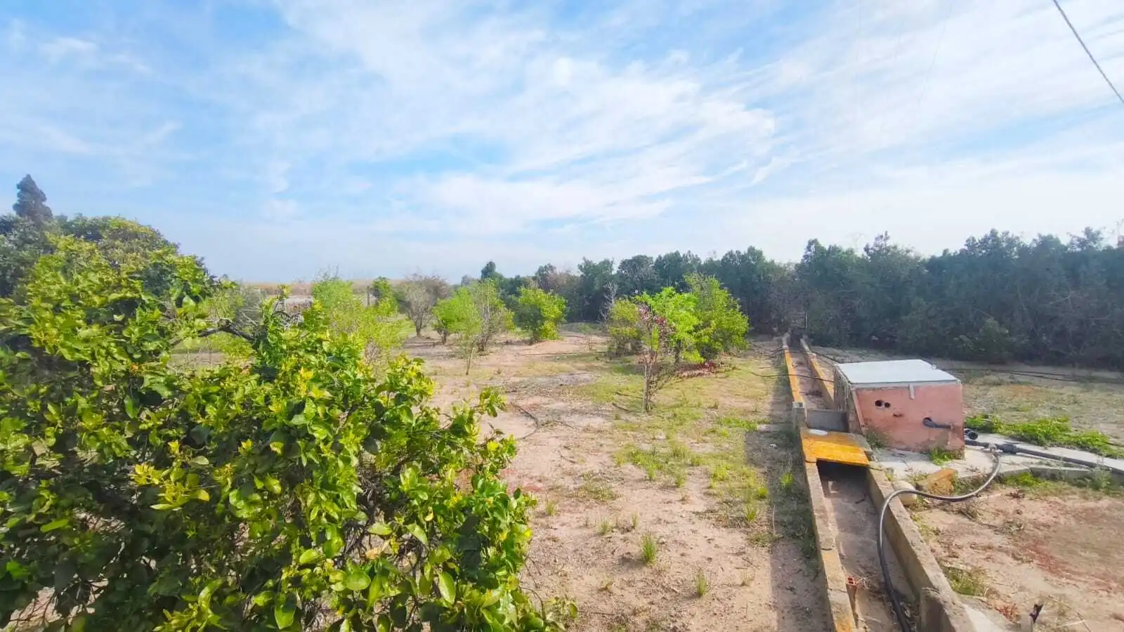 Finca rústica en venta en Cullera