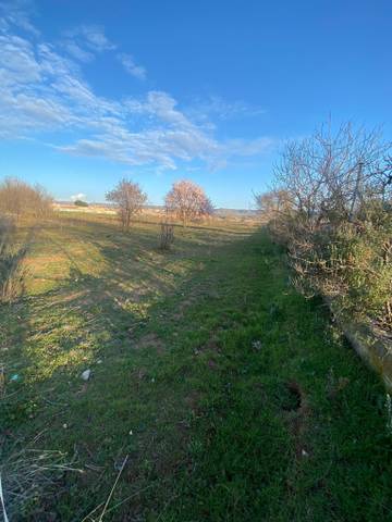 Terreno en Alquiler en Cabanillas del Campo