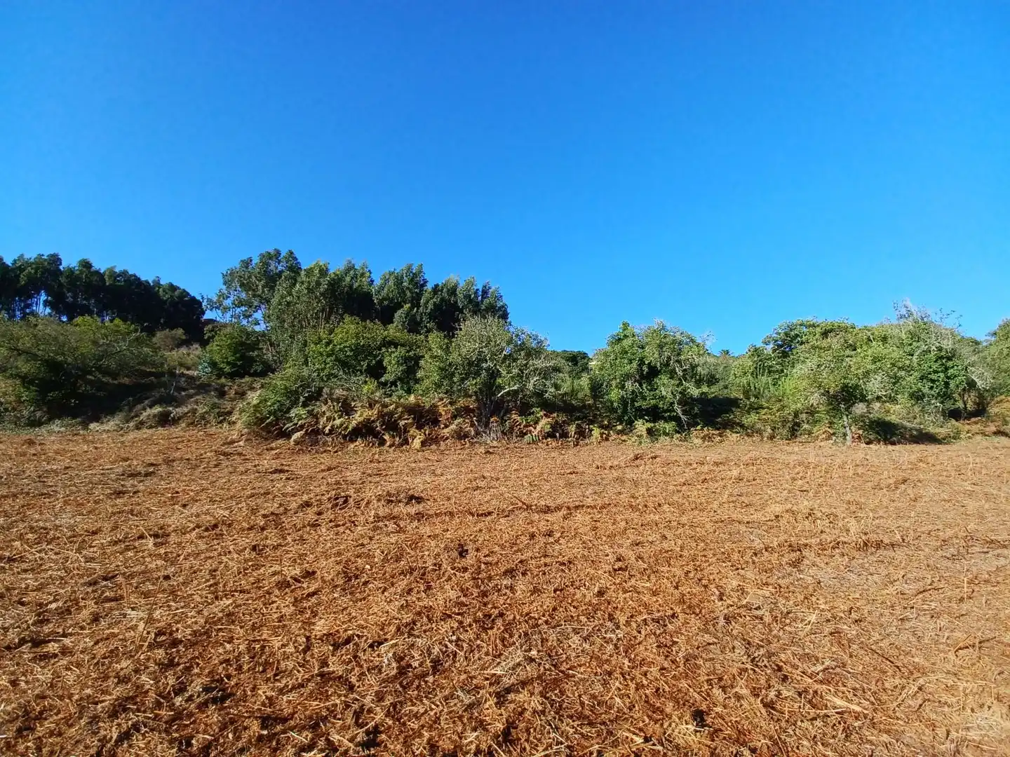 Terrenys i solars en venda a La Esperanza - Llano del Moro, imagen 6