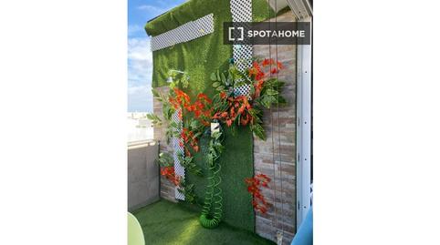 Photo 5 of Study to share in Guanarteme, Las Palmas