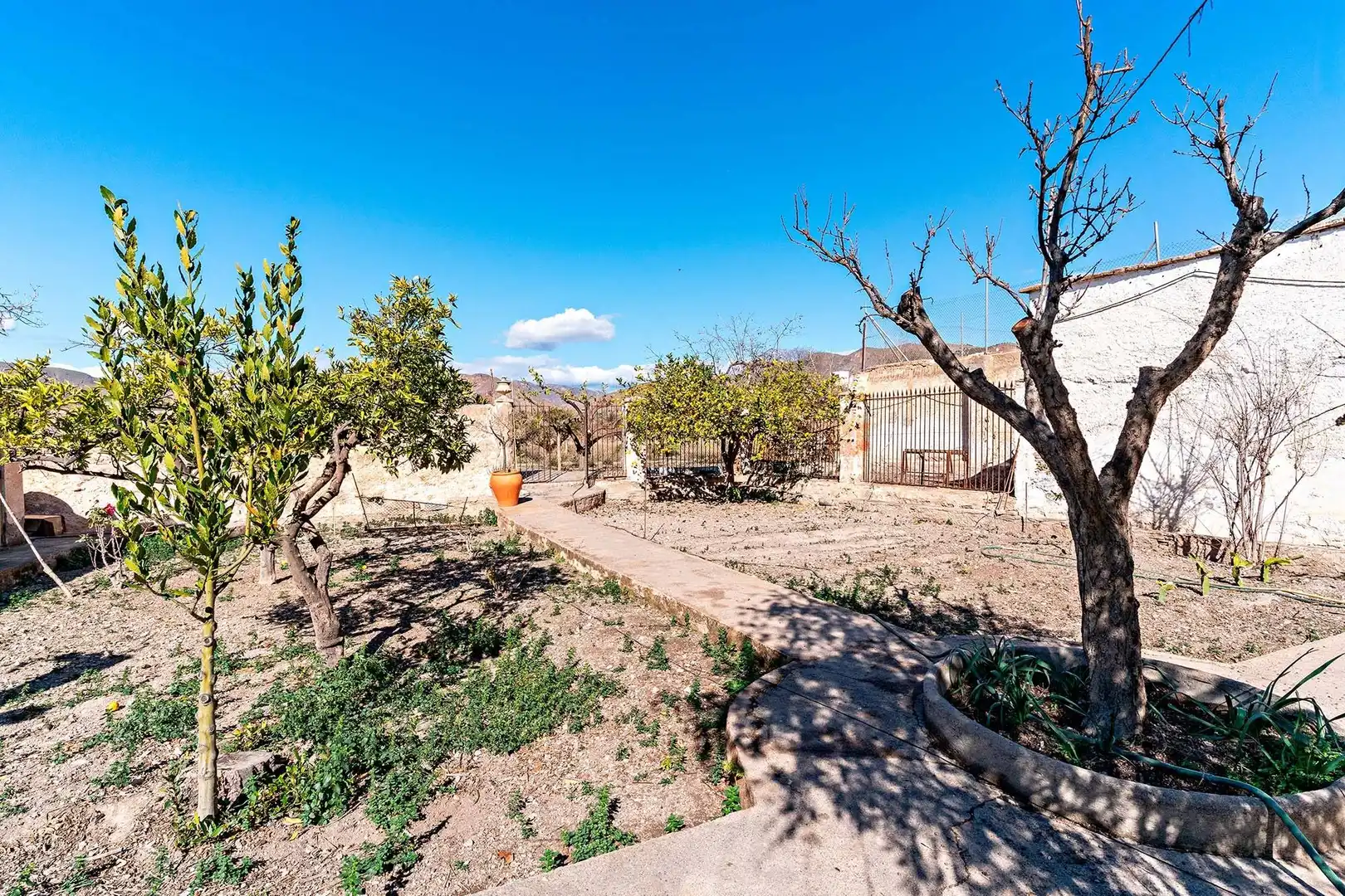 Casa o xalet en venda en Berja amb Terrassa i Balcó