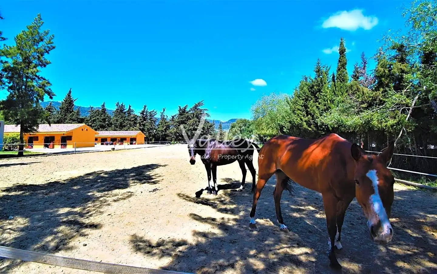 Terreni e lotti in vendita a Jimena de la Frontera, imagen 58