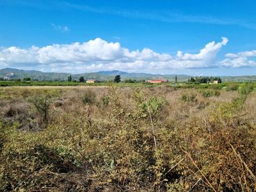 Terreni e lotti in vendita a poligono 17 parcela 80