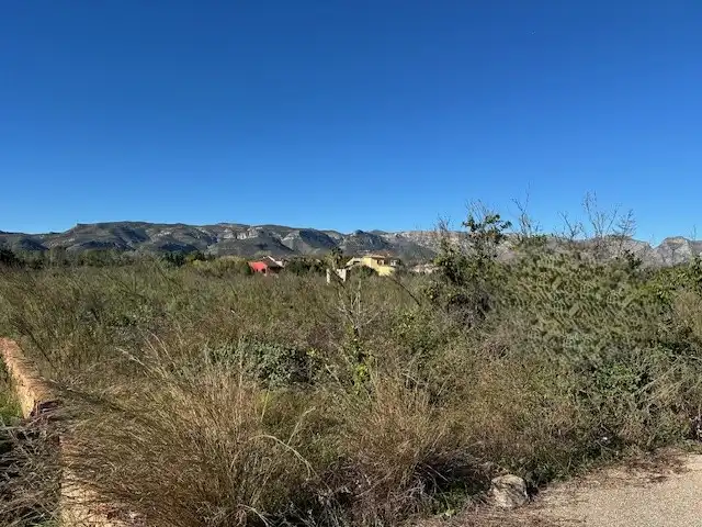 Terreny rústic en venda a Partida Cova Negra, imagen 5