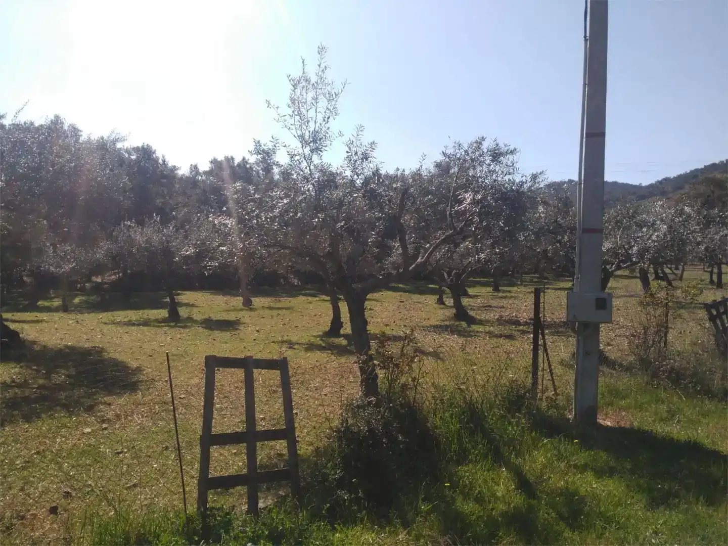 Finca rústica en venda en La Codosera amb Piscina
