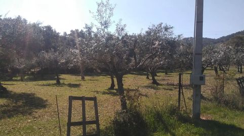 Foto 5 de Finca rústica en venda a Camino de Bacoco a la Cantera, 136, La Codosera, Badajoz