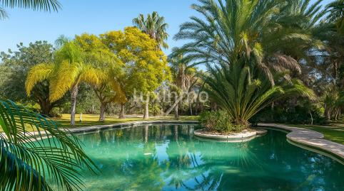 Photo 3 of House or chalet for sale in Valverde, Elche / Elx