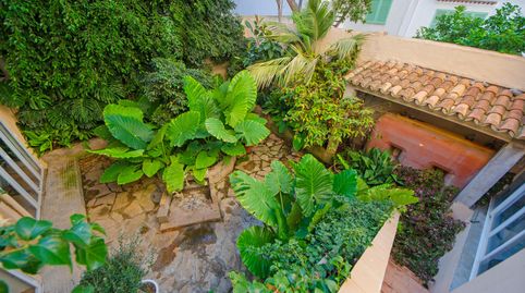 Casa señoral de pueblo con muchas posibilidades para inversores, imatge 4