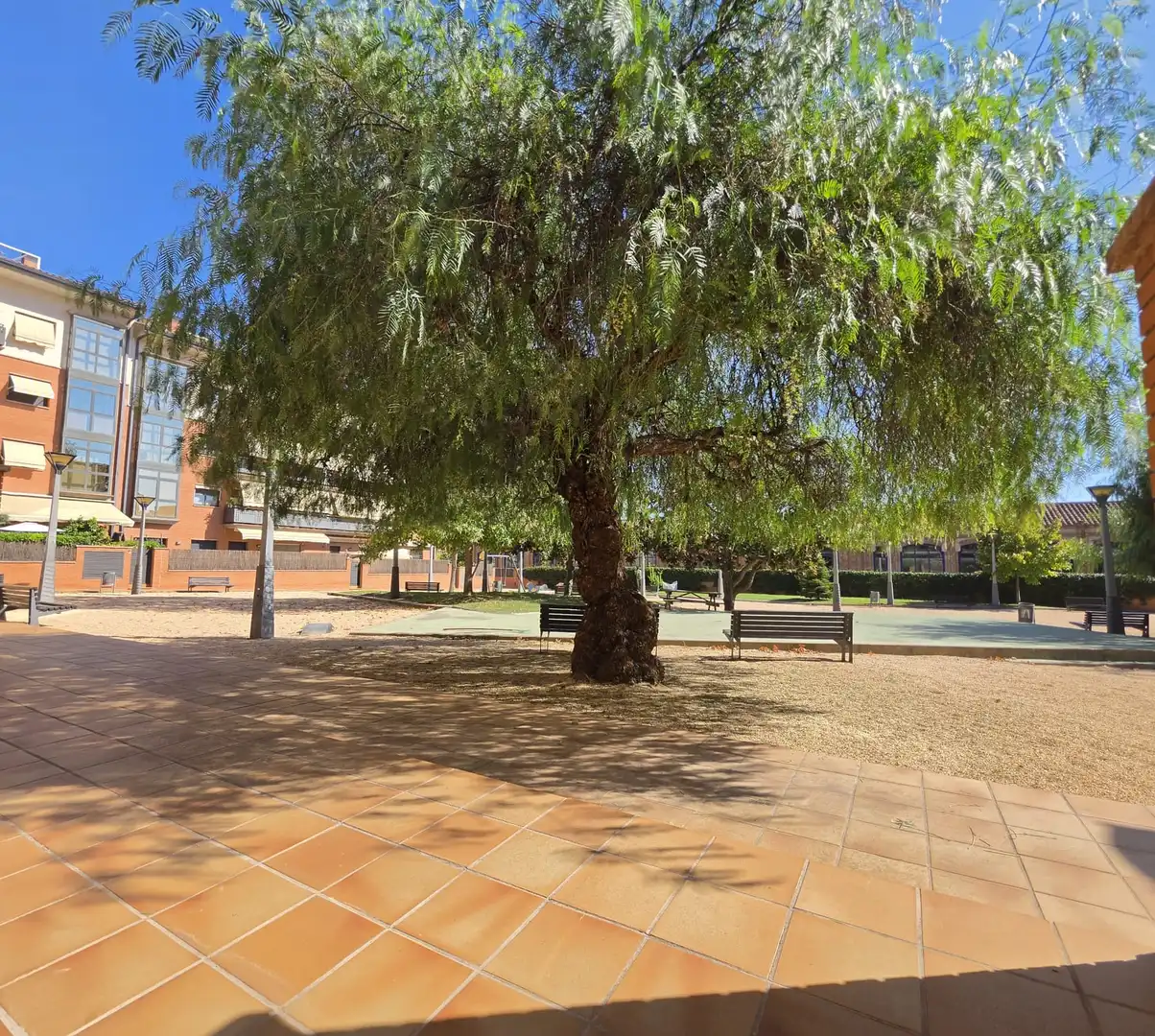 Appartamento con terrazza in vendita a Carrer Doctor Klein, imagen 11