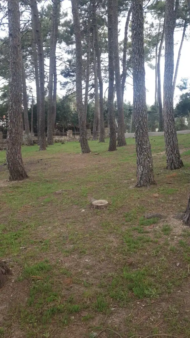 Residential land for sale in Calle Segovia 104, imagen 2