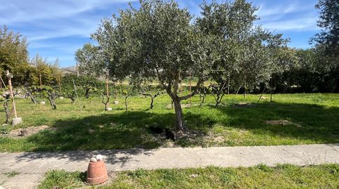 Foto 5 de Terreno en venta en Salvador Allende, Zaragoza Capital