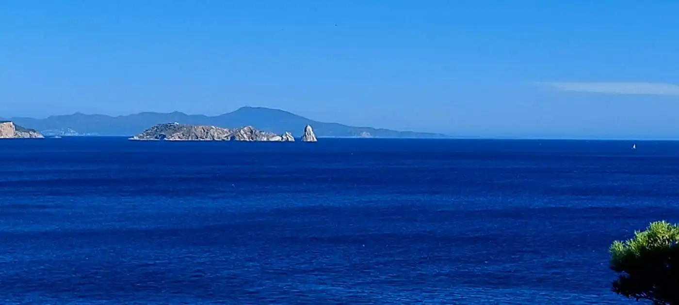 Vista exterior de Casa o chalet en venta en Begur con Calefacción, Jardín privado y Terraza